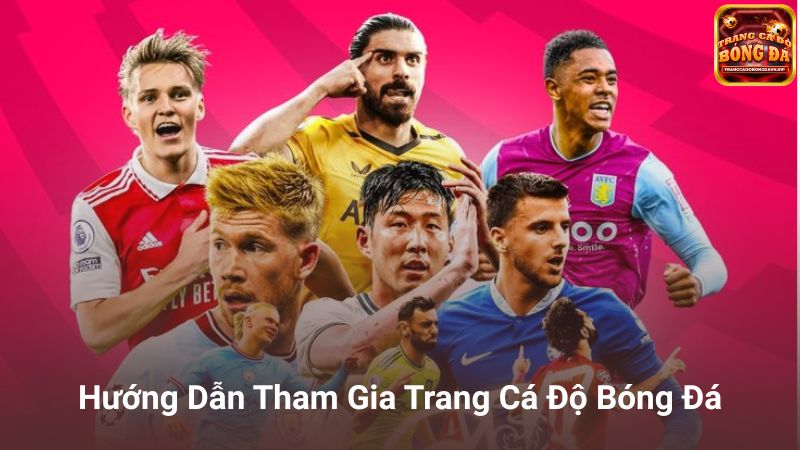 Hướng Dẫn Tham Gia Trang Cá Độ Bóng Đá Cho Người Mới