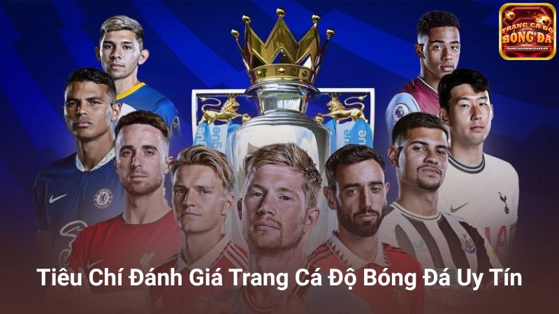 Tiêu Chí Đánh Giá Trang Cá Độ Bóng Đá Uy Tín