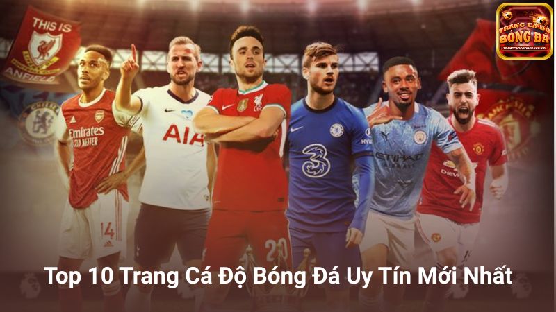 Top 10 Trang Cá Độ Bóng Đá Uy Tín Mới Nhất
